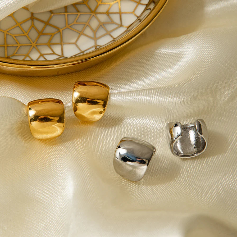 Aria Earring Clips