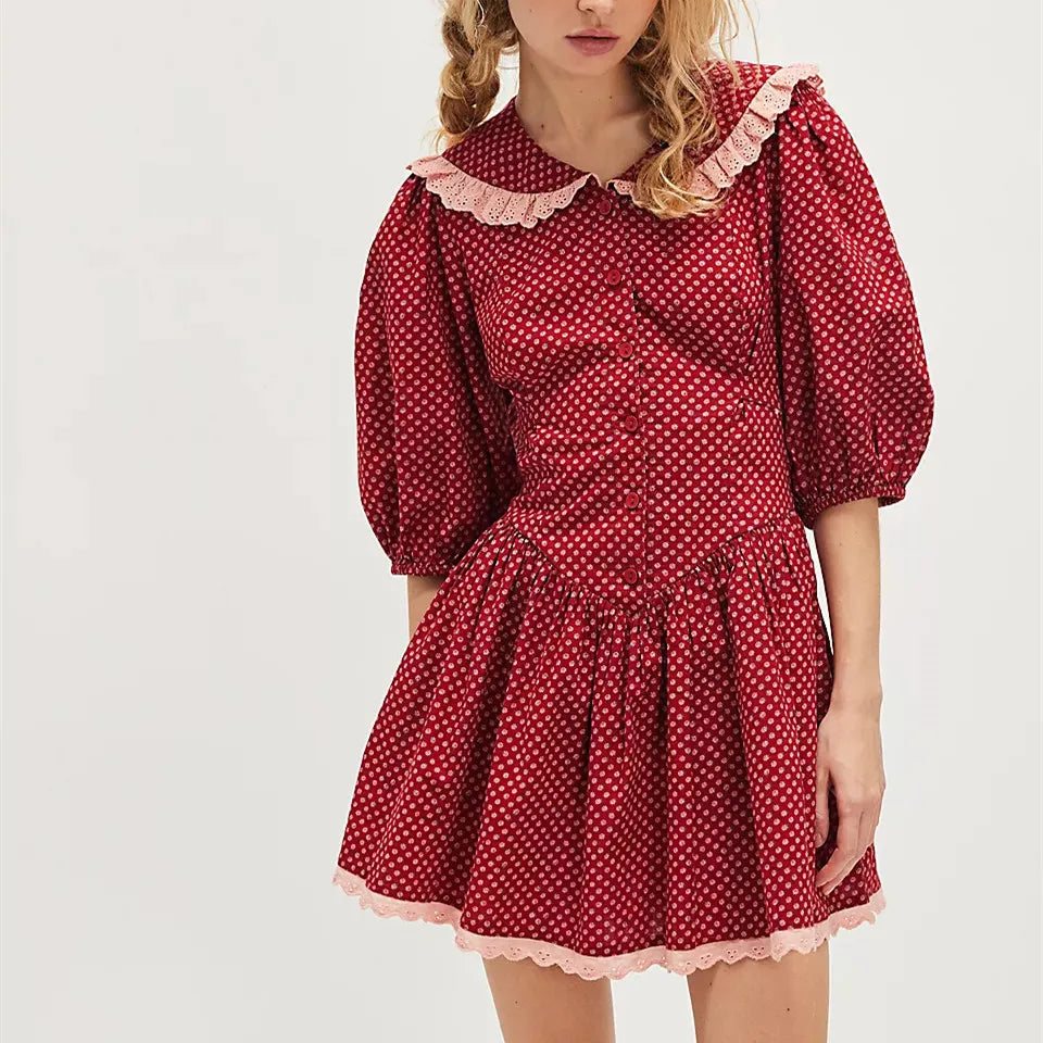 Ellen Lace Collar Mini Dress