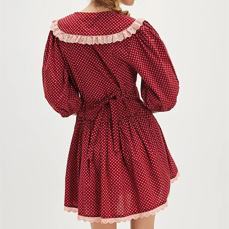 Ellen Lace Collar Mini Dress