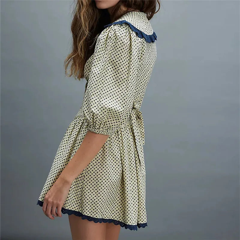 Ellen Lace Collar Mini Dress