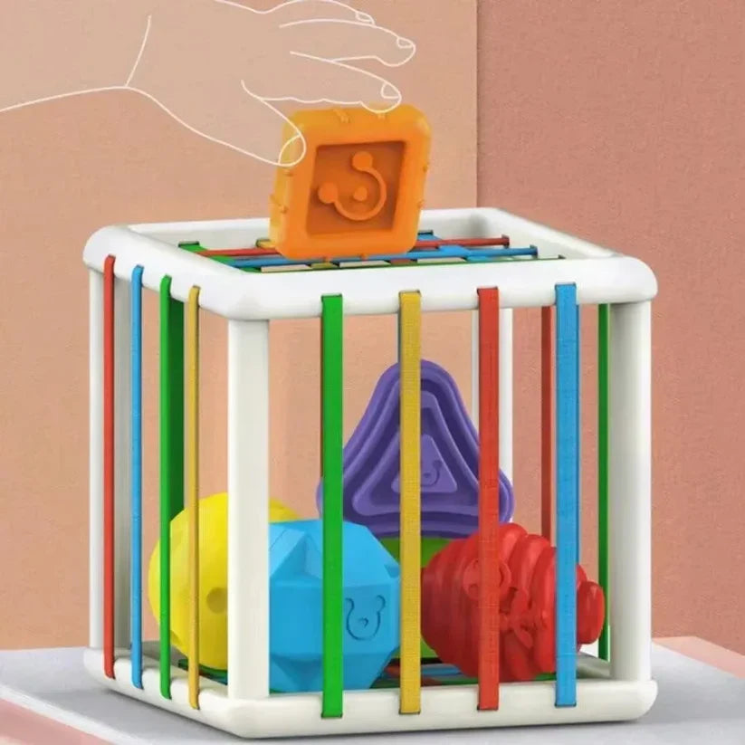 Boîte de tri des formes pour la motricité et l’éveil des tout-petits