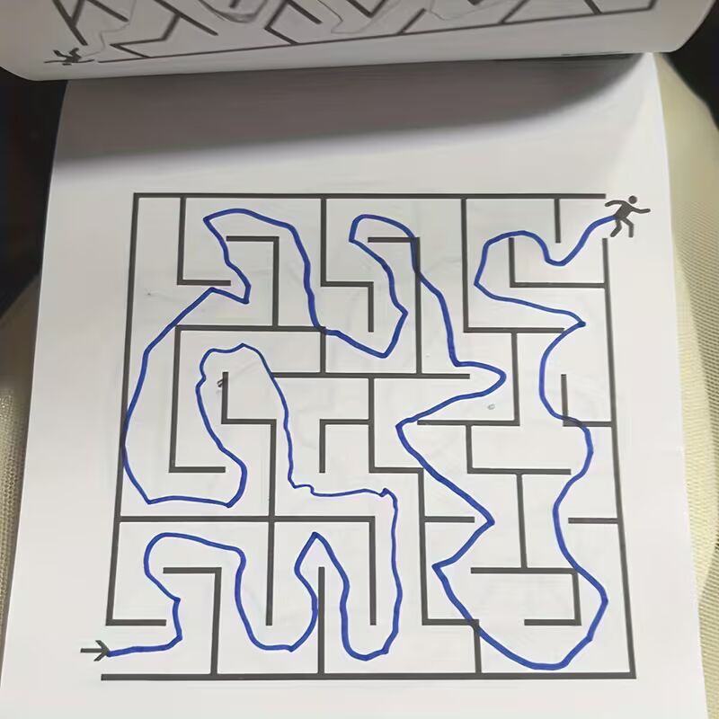 Livre de labyrinthes avec 192 défis – un jeu qui développe la logique et la concentration