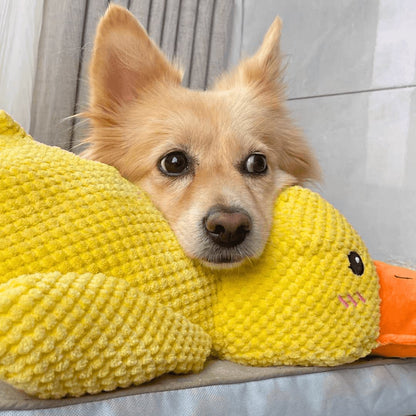 Jouet pour chien en forme de canard – Raminantis, avec Chew Guard