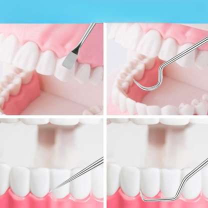 Ensemble de cure-dents multifonction en acier inoxydable