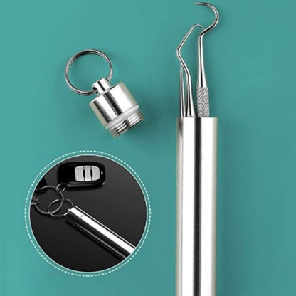 Ensemble de cure-dents multifonction en acier inoxydable