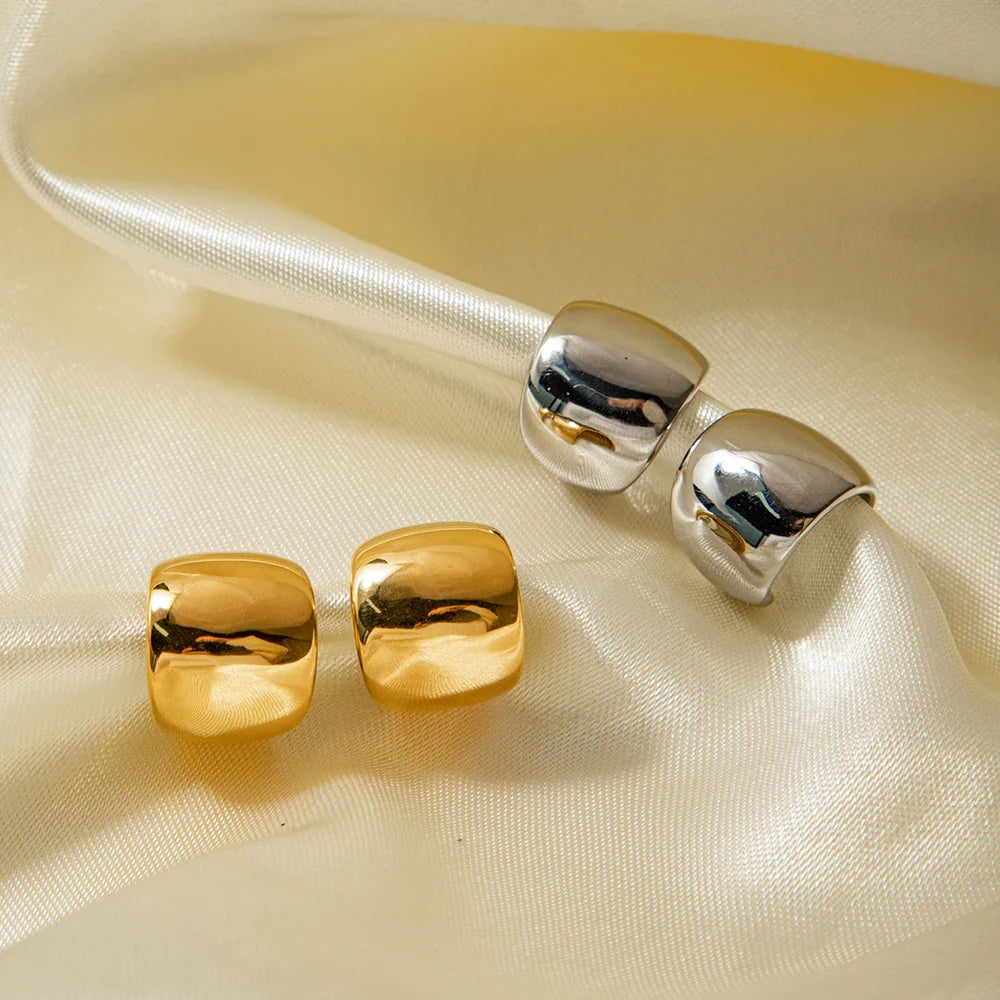 Aria Earring Clips